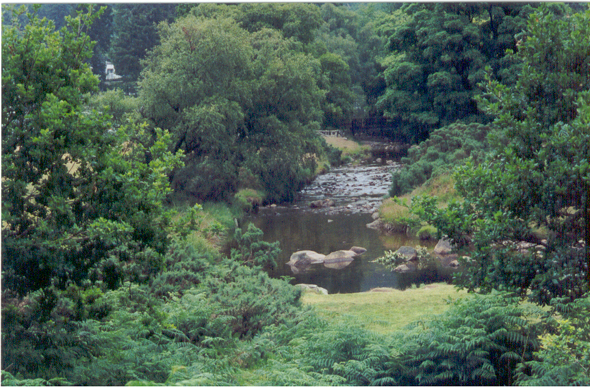 Ireland Waterfall