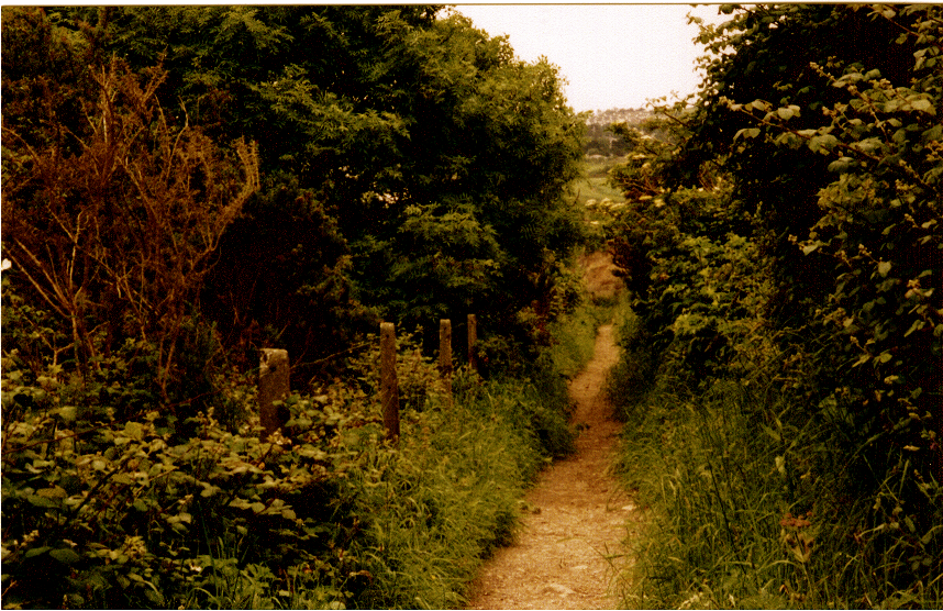 Ireland Pathway